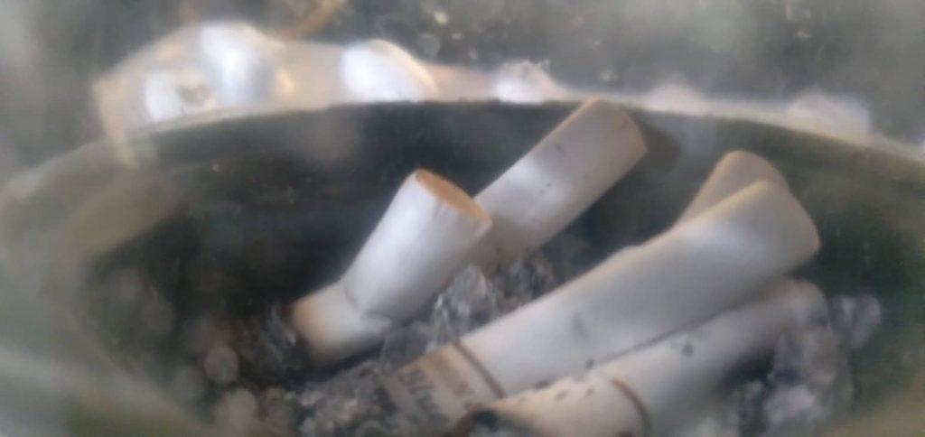 সিঙ্গেল মাদার, বাংলা, কবিতা, গল্প