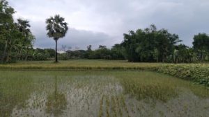 আমার প্রিয় ১০ বাংলা কবিতা